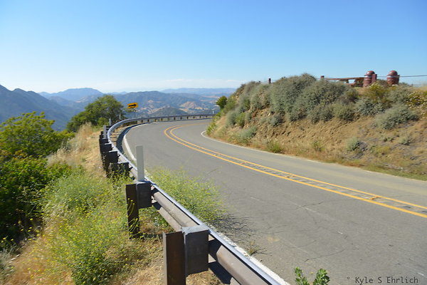 DSC 2390