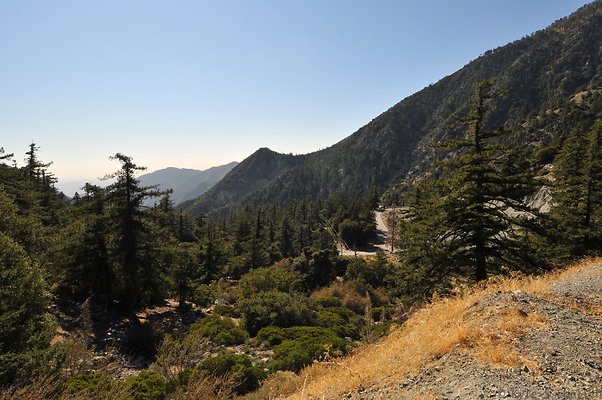 DSC 7047