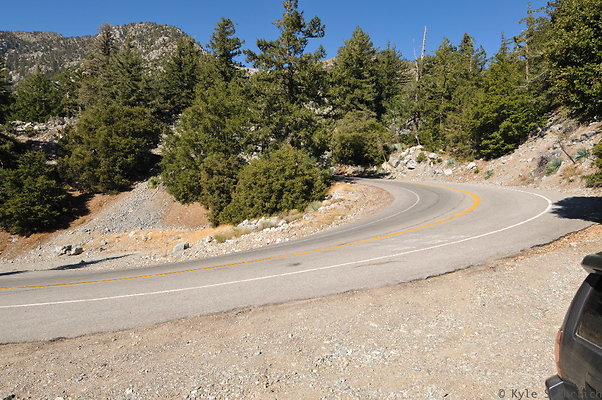 DSC 7049
