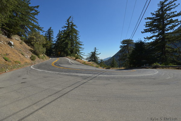 DSC 3759