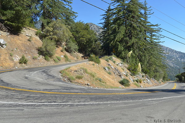 DSC 3740