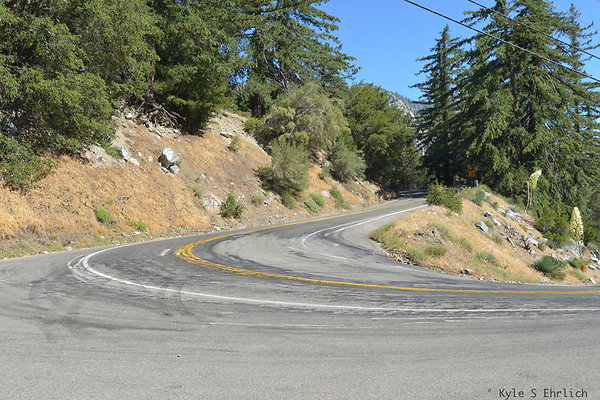 DSC 3736