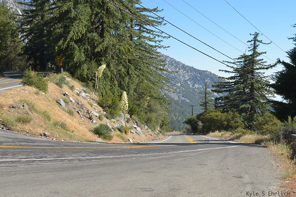 DSC 3843