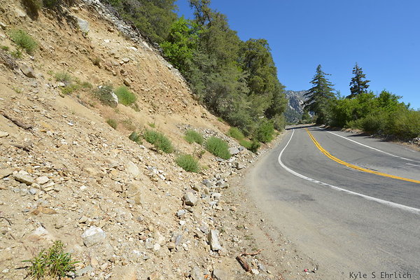 DSC 3709