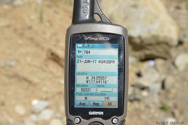 DSC 4670b