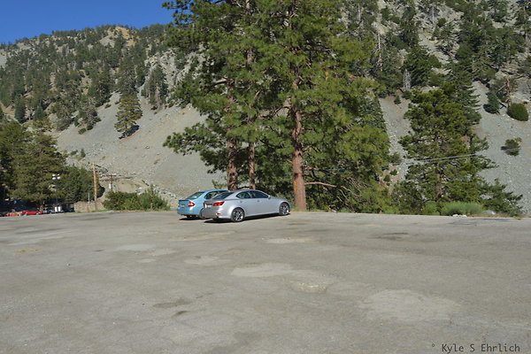 DSC 4113
