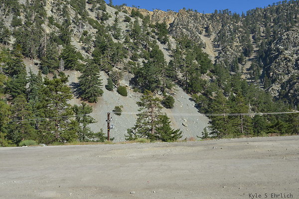 DSC 4077