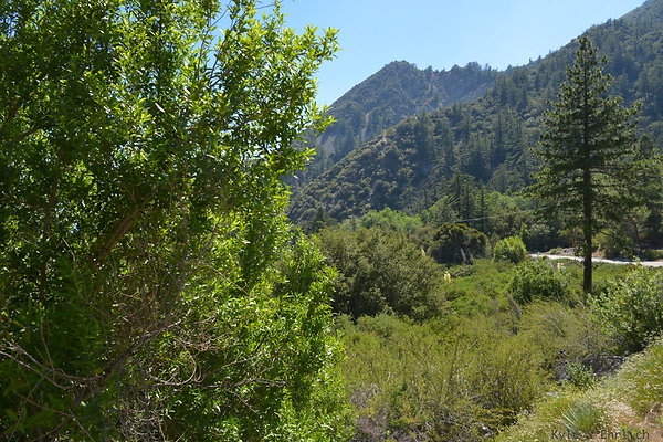 DSC 3564