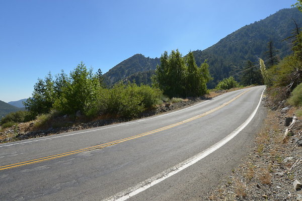 DSC 3631