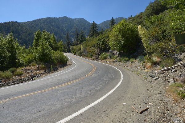 DSC 3618