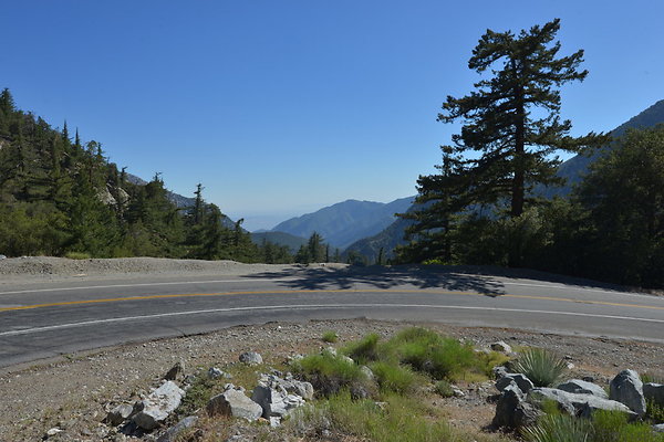 DSC 4006