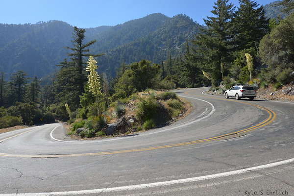 DSC 3868