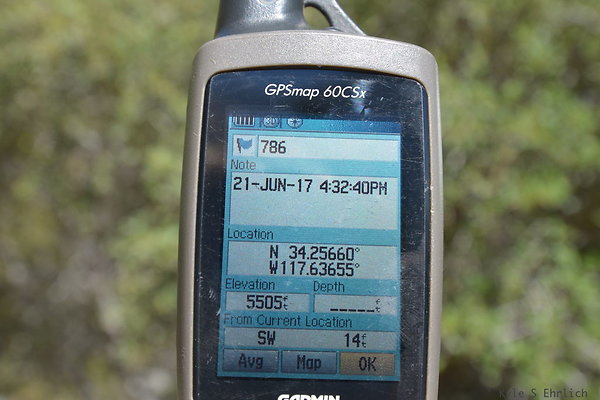 DSC 4871a