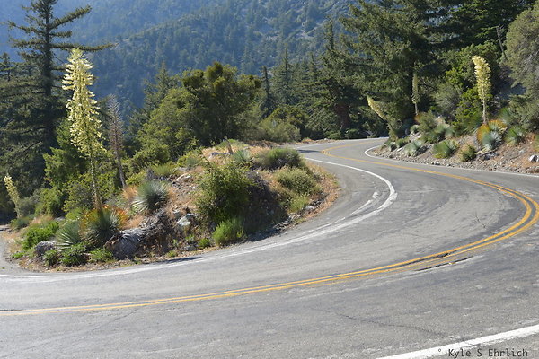 DSC 3860
