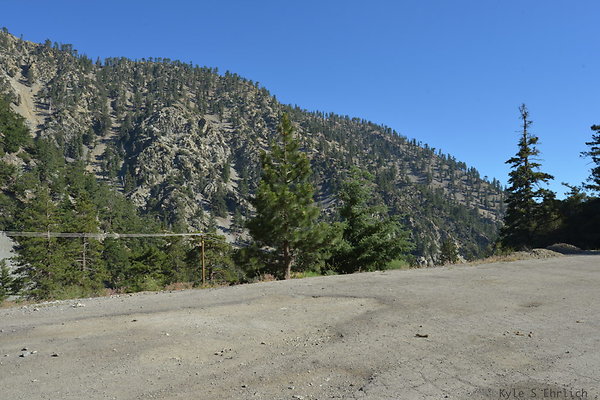 DSC 4118