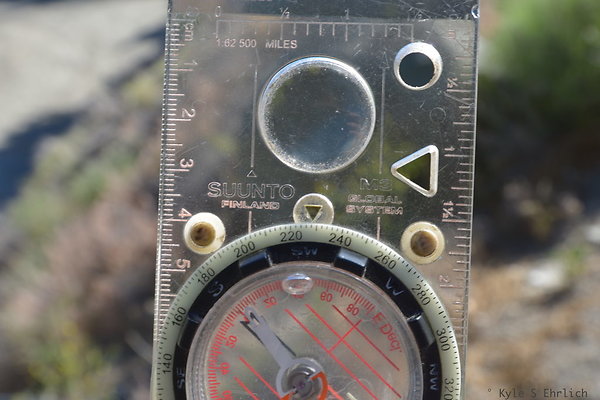 DSC 4092