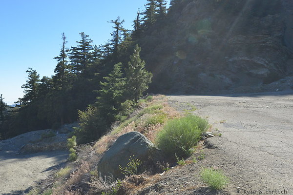 DSC 4136