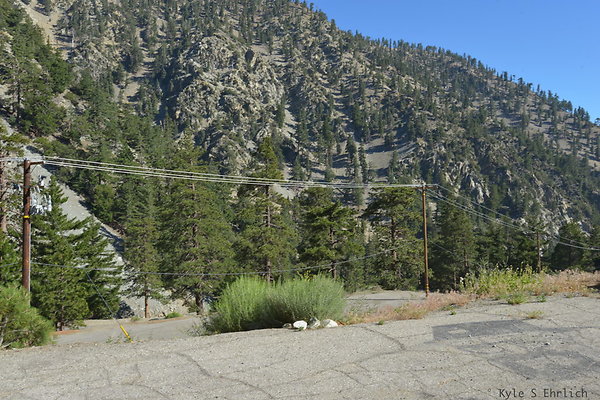 DSC 4110