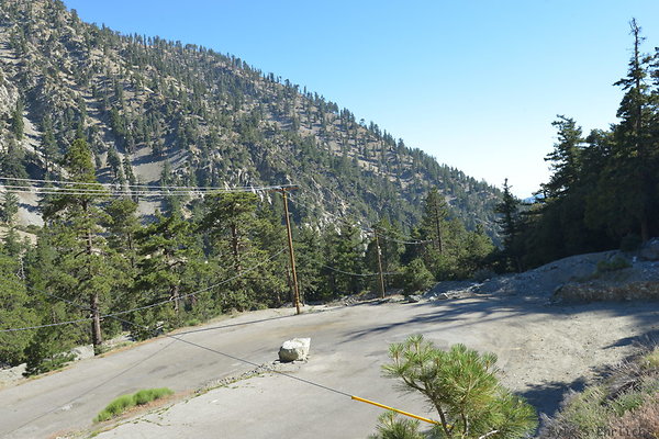 DSC 4131