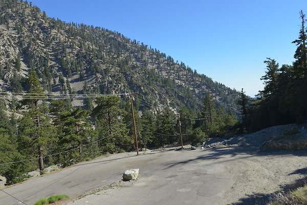 DSC 4101
