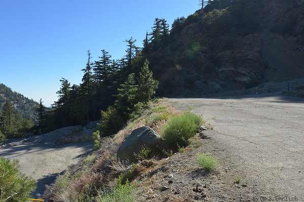 DSC 4135