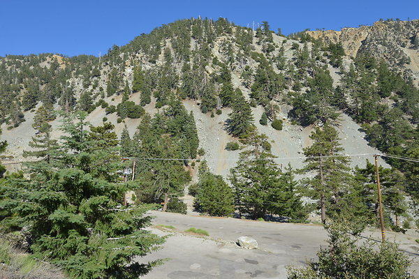 DSC 4091