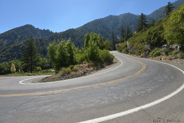 DSC 3613