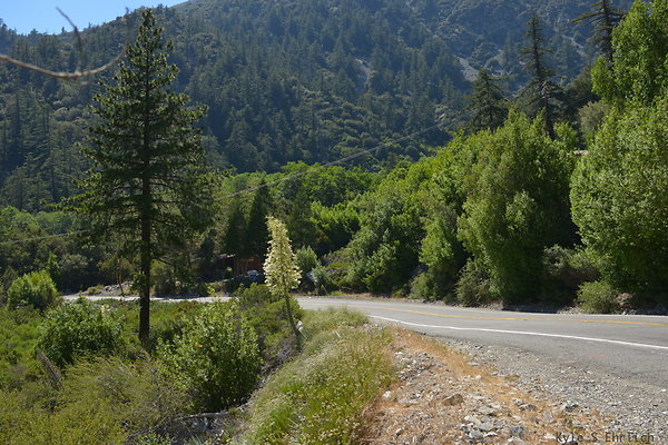 DSC 3568