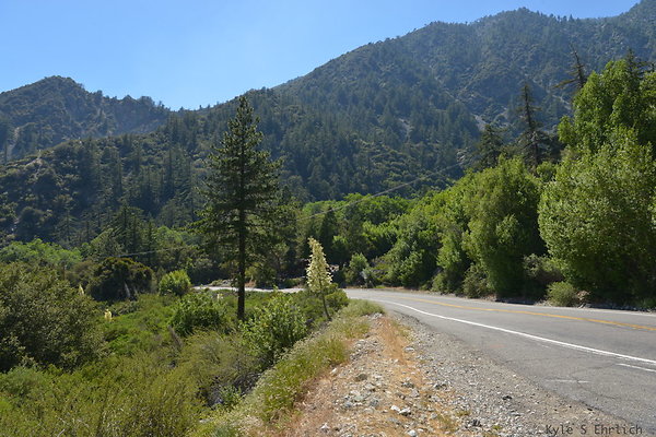 DSC 3565