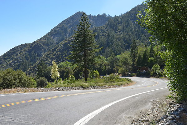 DSC 3663