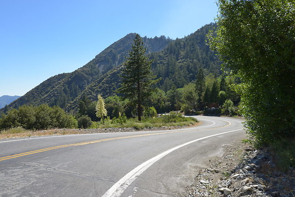 DSC 3662