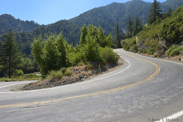 DSC 3614