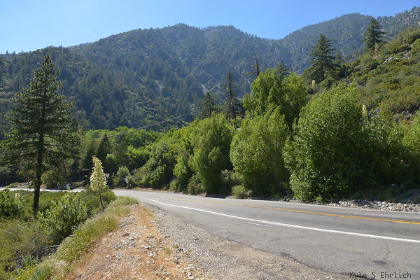 DSC 3604