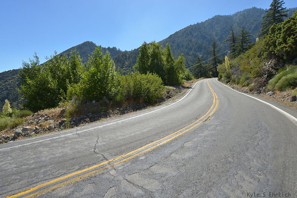 DSC 3643