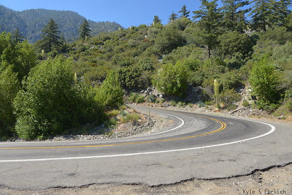 DSC 3605