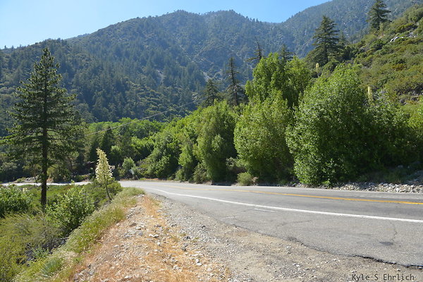 DSC 3590