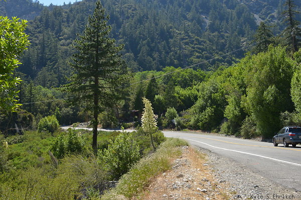 DSC 3598