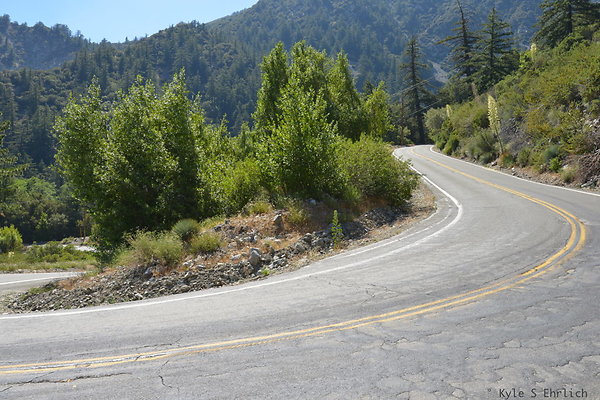 DSC 3615