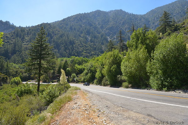 DSC 3601
