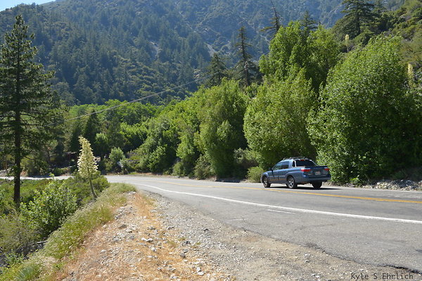 DSC 3597