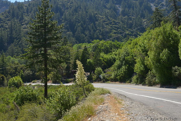 DSC 3563