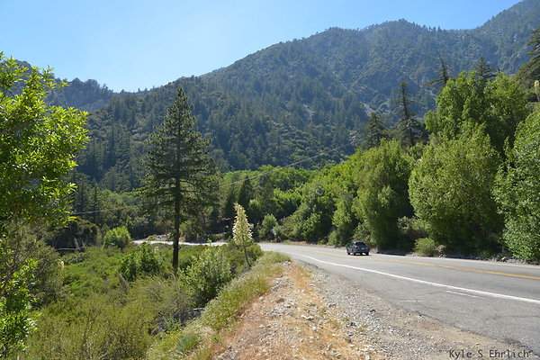 DSC 3599