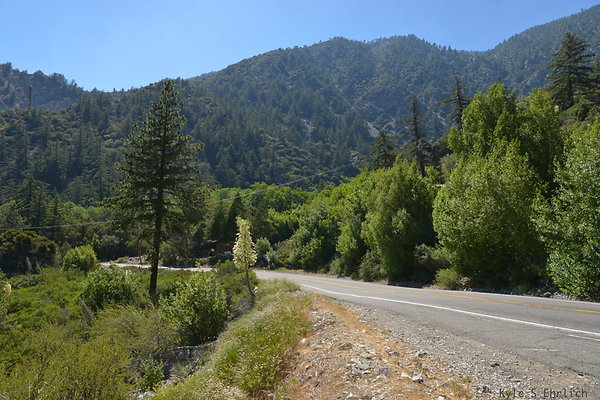 DSC 3571