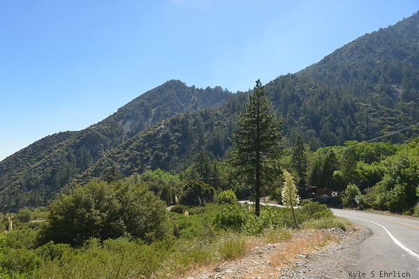 DSC 3575