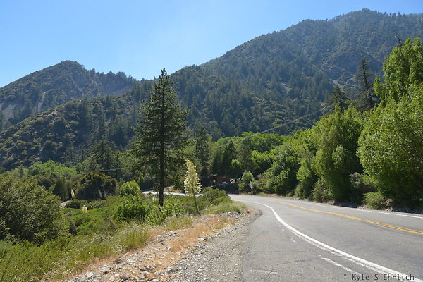 DSC 3583