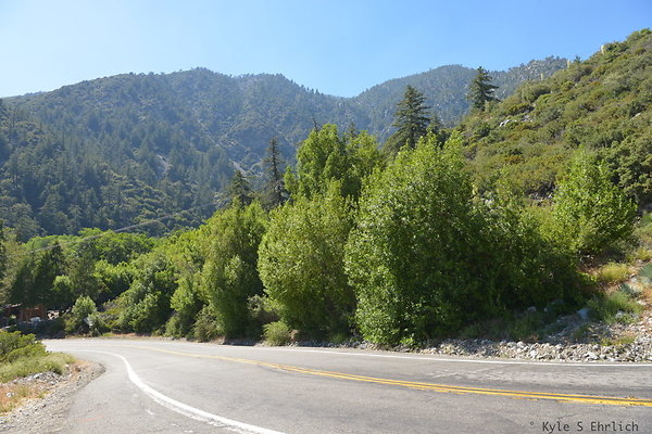 DSC 3576