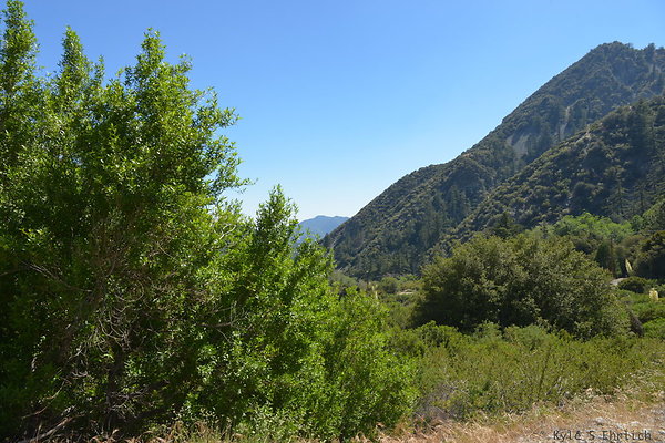 DSC 3582