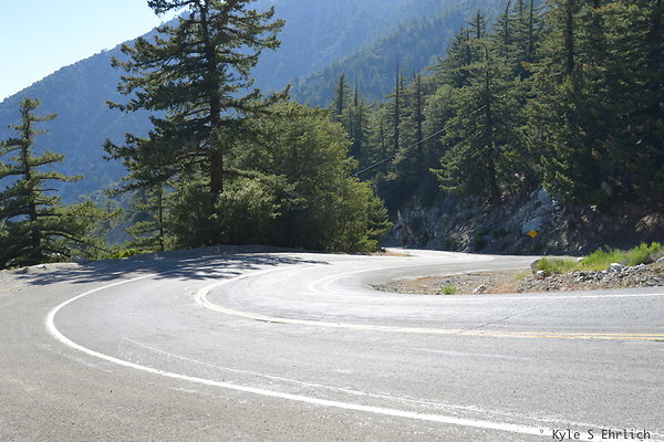 DSC 3965