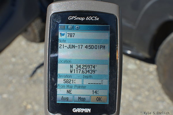 DSC 4037