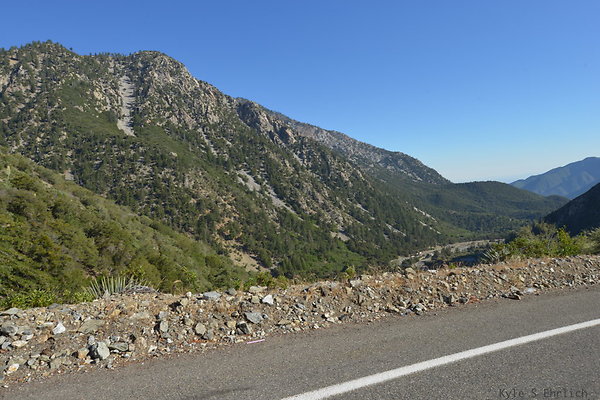 DSC 4466